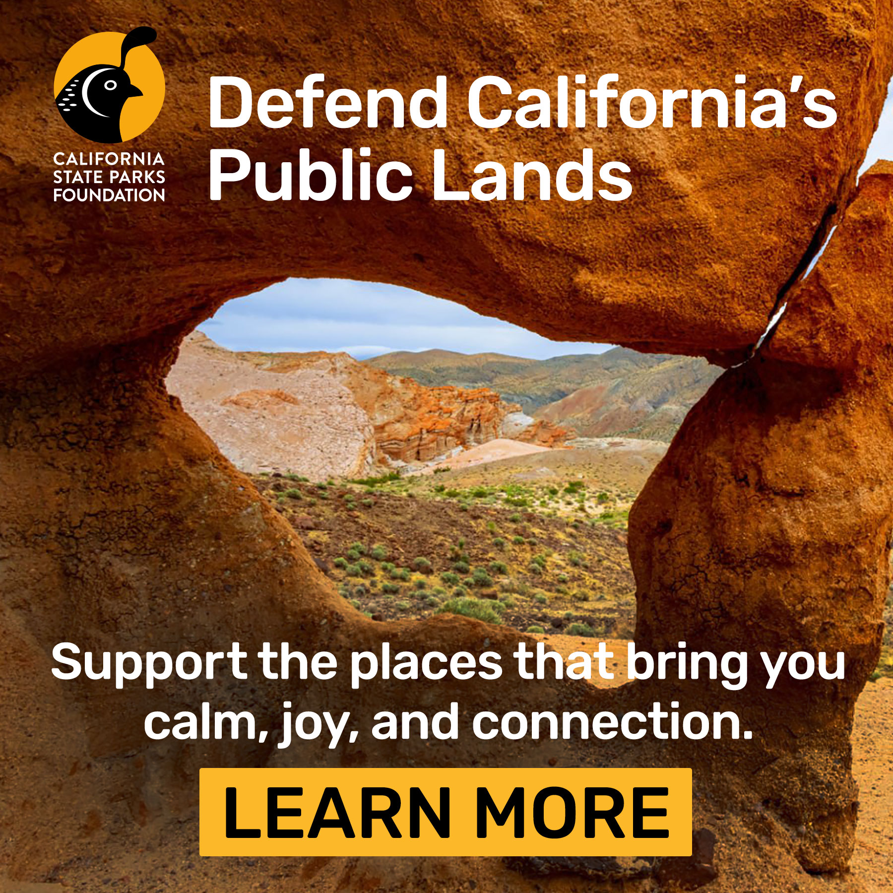 Native Ad