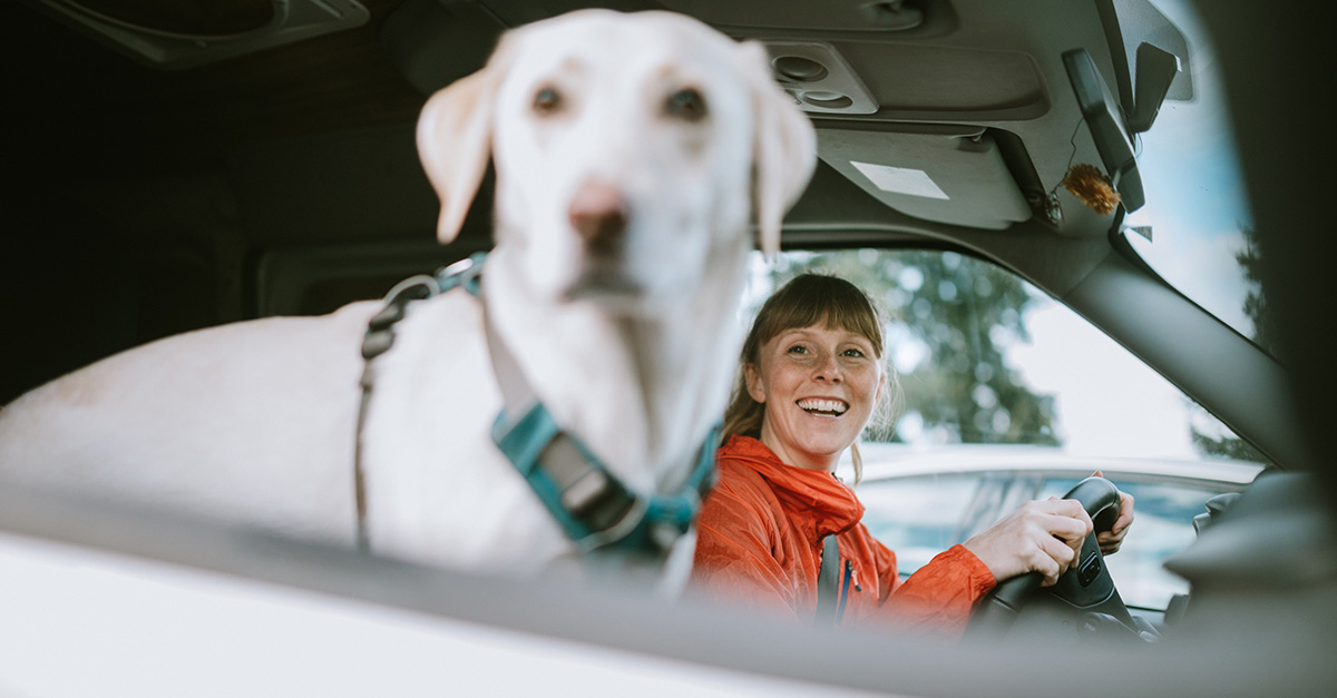 Native Ad